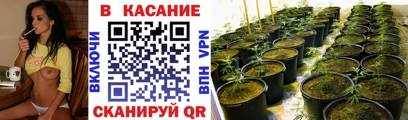 Где найти наркотики Коркино МАРИХУАНА  A-PVP  ГАШИШ 