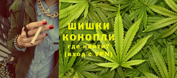 индика Баксан