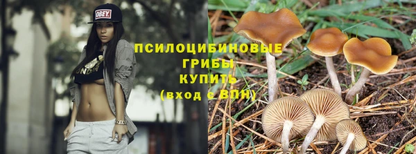 кокаин Белокуриха