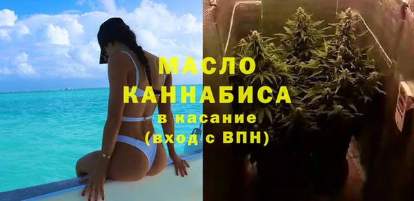 индика Баксан